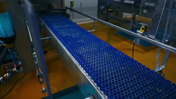 産業卵の生産ライン チキンファームでのアクションにおける卵の生産ラインの表示 — ストック動画