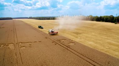 Tarlada çalışan hasat makinesi. Yaz mevsiminde tarlada buğday hasadının hava manzarası