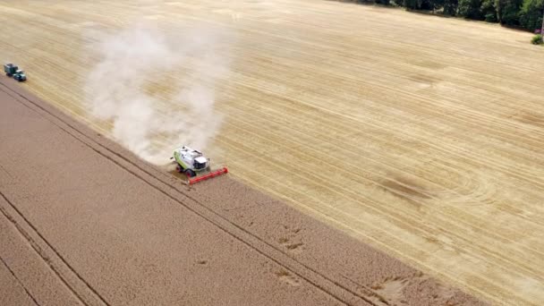 Luchtfoto Van Landbouwindustrie Combineer Oogstmachine Landbouwmachine Oogsten Gouden Rijpe Tarweveld — Stockvideo