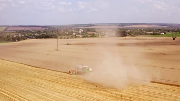Combine Harvester Cutting Wheat Field Aerial Shot Harvester Working Wheat — Stock Video