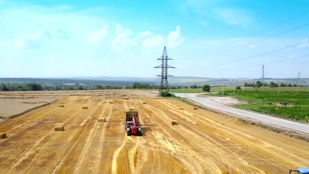 農業機械によって作物を集めるプロセス 小麦のベールは 食品文化の工場に輸送するために収集し ロード — ストック動画