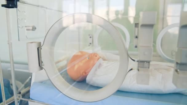 Neugeborene Schaufensterpuppe Für Das Training Medizinisches Training Simulationspuppenbaby — Stockvideo