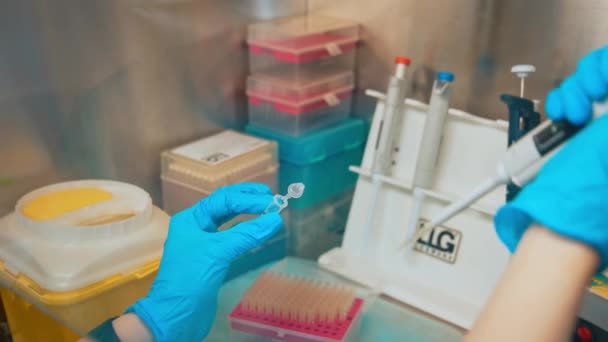 Laboratuvarda Ele Tutuşan Test Tüpleri Hasta Numune Almak Için Test — Stok video