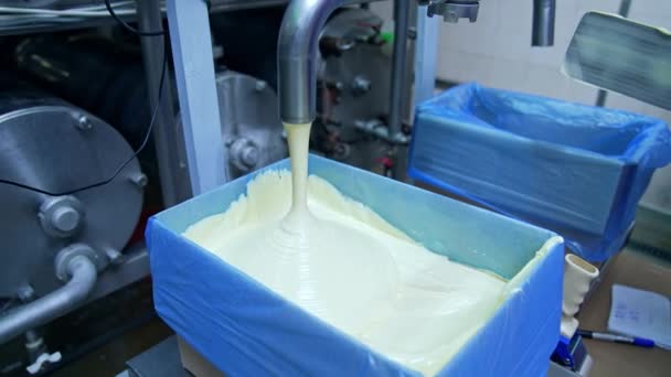 Süt Ürünleri Fabrikasında Tereyağı Işleniyor Borudan Kabın Içine Tereyağı Dökülüyor — Stok video
