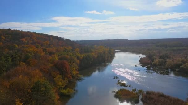 Impressionante Rio Floresta Outono Voando Sobre Rio Floresta Durante Outono — Vídeo de Stock