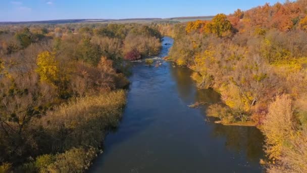 美しい秋の風景 森と秋の川の上からの眺め — ストック動画
