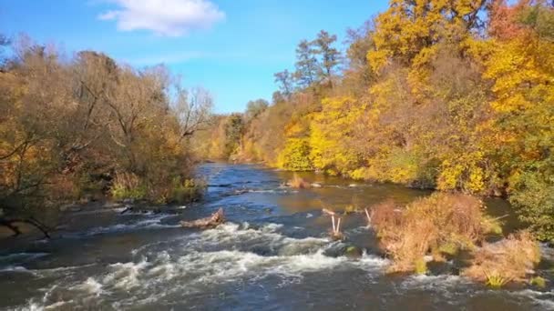 Luftflug Über Autumn River Luftflug Über Herbstlandschaft Entlang Des Flusses — Stockvideo