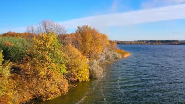 Luftaufnahme Der Herbstlandschaft Und Des Flusses Drohnenaufnahme Großer Flüsse Und — Stockvideo