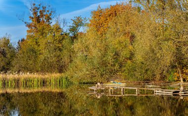 Bereketli bir ormanla çevrili Serene Gölü. Ağaçlarla çevrili bir su kütlesi.