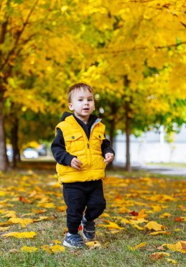 Yeşiller Tarlasında Duran Genç Bir Çocuk. Çimlerin üzerinde duran küçük bir çocuk