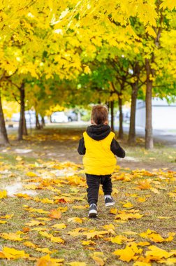 Sonbahar Parkı 'nda Neşeli Çocuk Macerası. Sonbaharda parkta koşan küçük bir çocuk.