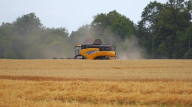 Sarı hasatçıyı mevsimlik işlerde kombine eder. Modern tarım makinesi mahsul topluyor. Buğday hasadı sırasında yakınlarda bulunan kalın toz. Hasattan sonra alan.