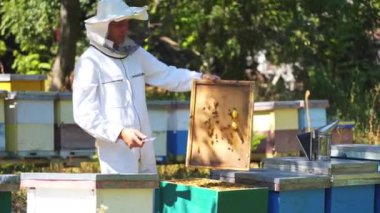 Doğada bir arı çiftliğinde çalışan bir Apiarist. Güneşli bir yaz gününde yeşil ağaçların güzel manzarasında tahta arı kovanları. Arıcılık süreci.
