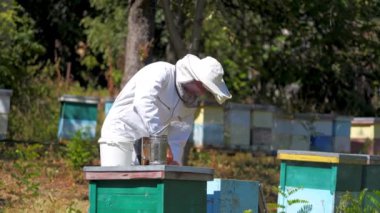 Arı kovanında koruyucu üniformalı deneyimli bir arı yetiştiricisi. Arı kovanlarında arıları inceleyen arıcı bir adam. Apiculture işi. Bal üretimi.