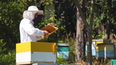 Arı kovanının yakınındaki Apiculturist. Koruyucu şapkalı ve takım elbiseli erkek arı yetiştiricisi parlak bir yaz gününde arı bahçesinde çalışıyor. Apiarist çerçeveleri fırçayla hazırlar.