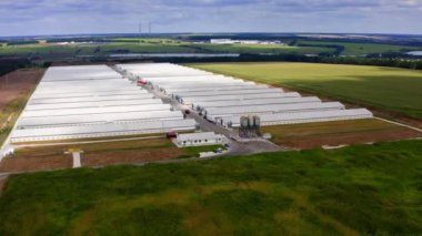 Doğadaki modern kümes hayvanları fabrikası. Yaz manzarasında tarım arazisinin yakınındaki çiftlik binaları. Kırsaldaki beyaz depoları ve çiftlik hayvanlarını. Hava görünümü.