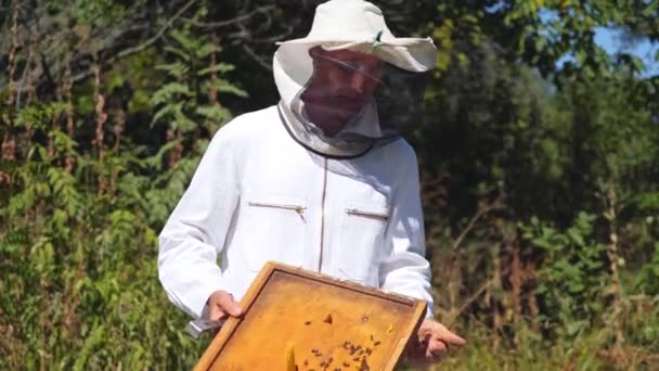 방어복에 Beekeeper 여름날 벌집에서 일하는 애피컬리스트 배경에 유니폼과 모자에 — 비디오