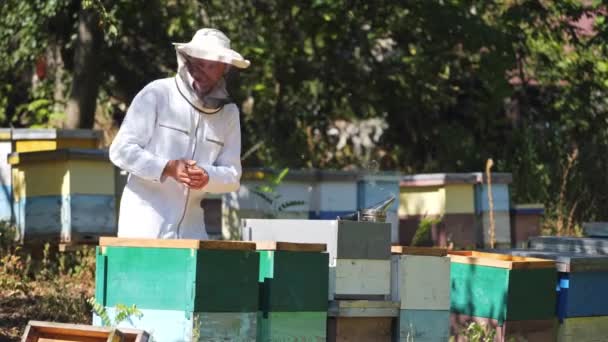 Arı Kovanlarının Yanında Beyaz Koruyucu Elbiseli Bir Arı Yetiştiricisi Apiculturist — Stok video