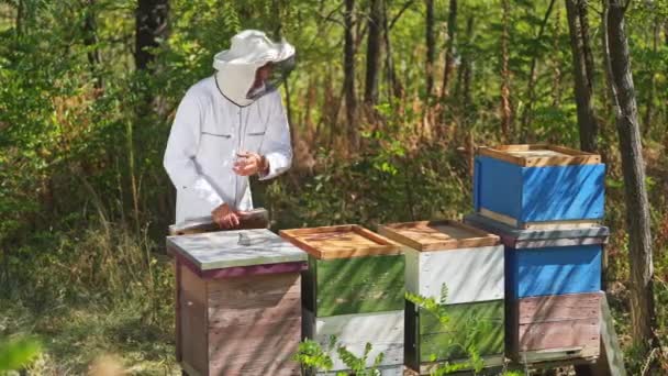 Bijenteeltproces Het Bos Professionele Imker Beschermend Uniform Voor Deksels Bijenkorven — Stockvideo