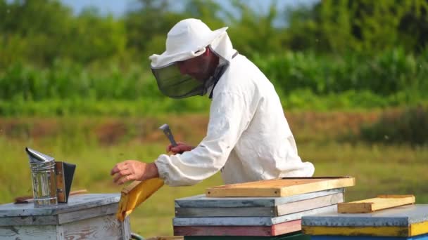 Beekeeper Apiary Apiarist Wearing Vyshyvanka Shirt Protective Hat Examining Bees — Stock Video