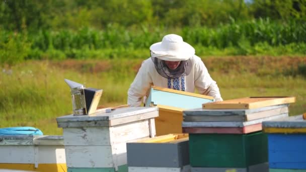 在绿色的大自然中 靠近五彩斑斓的蜂窝的农民 戴防护帽的养蜂人在蚜虫上检查蜂房 养蜂概念 — 图库视频影像