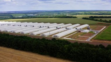 Beyaz ahırlar sahada. Güzel yeşil doğanın arasında modern bir çiftlik. Yazın kırsal bölgelerde tarımsal binalar var. Drone görünümü.