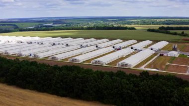 Güzel yeşil doğanın arasında bir çiftlik. Yazın çevrede modern beyaz çiftlik binaları. Tarımsal tesis sahada.