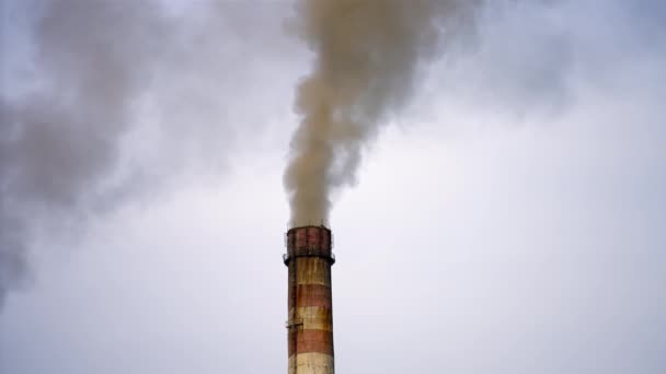 Fumaça Exausta Gases Combustão Para Fumaça Densa Tubos Poluir Atmosfera — Vídeo de Stock