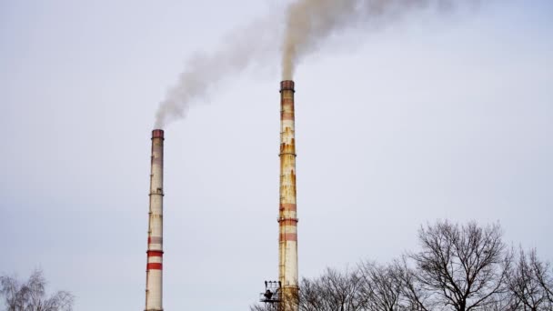 Tubos Com Emissões Fumo Tubos Plantas Poluem Atmosfera Chaminés Com — Vídeo de Stock