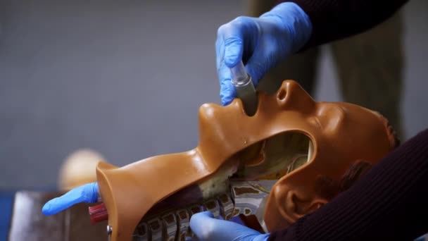 Practical Course Dummy Head Student Trying Medical Exercise Giving Resuscitation — Stock Video