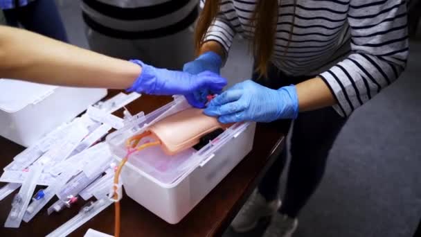 Melatih Injeksi Vena Pada Lengan Manekin Siswa Belajar Bagaimana Menempatkan — Stok Video