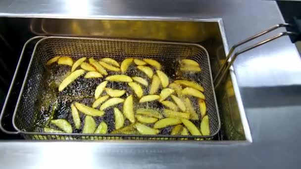 Patates Kızartma Makinesinde Fast Food Restoranındaki Fritözde Kızarmış Patates Patates — Stok video