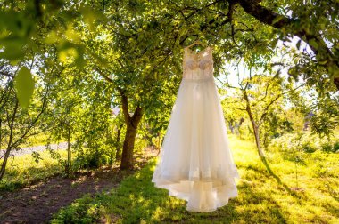Büyüleyici bir görüntü, canlı bir elbisenin güzel bir tarlada ağaçtan sallanmasıyla ortaya çıkar..