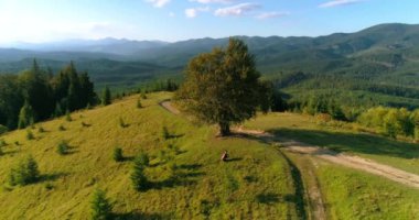 Güzel dağlarda müzik. Green Hill 'de enstrüman çalan müzisyen. İnanılmaz bir dağ manzarası manzarası. Hava görünümü.