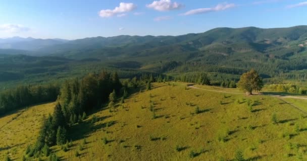 Increíble Zona Montañosa Día Soleado Vuelo Sobre Colina Verde Músico — Vídeo de stock