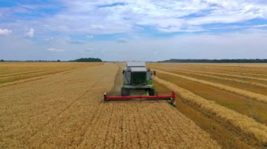 Modern biçerdöveri mavi gökyüzünün altında birleştirin. Yaz mevsiminde altın bir tarlada olgun buğday toplama makinesi. Ön görünüm.