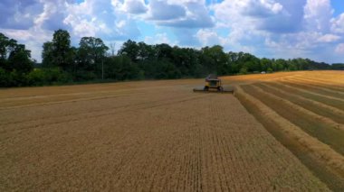 Altın tarlada modern biçerdöver. Tarım makinesi güzel yaz manzarasına karşı çalışıyor. Çiftlik arazilerinde mevsimlik işler.