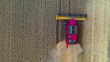 Modern tarım ekipmanları. Pembe, mevsimlik işler sırasında tarlada çalışan hasat makinesini birleştirir. Tarım arazilerinde olgun mahsulleri toplayan makineler. Üst görünüm.