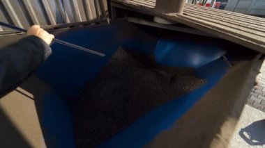 İşçi çöpte tahıl karıştırır. Tarım sektörü için endüstriyel ekipman. Bileşik besleme endüstrisi. Yem fabrikası. Yakın plan..