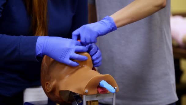 Entraînement Sur Tête Mannequin Formateur Médical Démontre Procédure Médicale Étudiant — Video