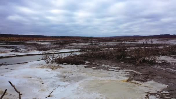 自然のグロミーの背景 干ばつした場所での湖の汚染 生態学的な問題 汚染された背景の乾燥植物 — ストック動画