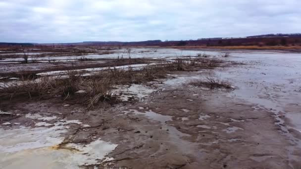 世界的な水危機 水の汚染 水不足による植物の死 湖や川の汚染について 地球環境問題 — ストック動画