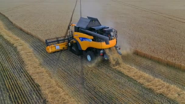 Combineer Oogstmachine Geel Veld Landbouwmachine Oogsten Rijpe Oogst Landbouwgrond Oogsten — Stockvideo