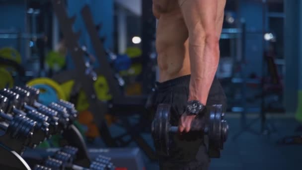 Forte Fisiculturista Bombeando Músculos Bonito Atleta Fazer Exercício Com Halteres — Vídeo de Stock