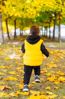 Sarı Ceketli Küçük Çocuk Yapraklar Arasında Koşuyor. Sarı ceketli bir çocuk renkli sonbahar yapraklarının arasında mutlu bir şekilde koşuyor..