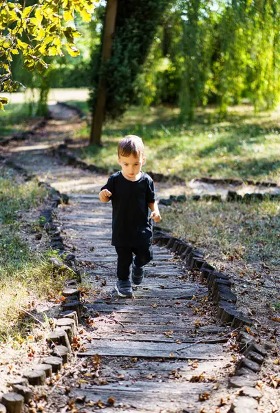 Young Boy Walking Down Wooden Path in Forest Park. A young boy walks down a scenic wooden path surrounded by lush greenery in a forest park.