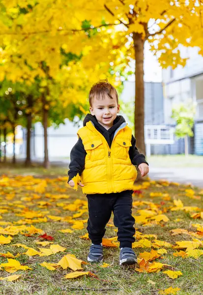 Sarı Ceketli Küçük Çocuk Sonbahar Yaprakları 'nda Yürüyor. Parlak sarı bir ceket giyen genç bir çocuk renkli bir yaprak yığınının içinden geçiyor..