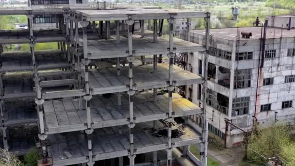 老工业建筑 被毁的工业厂房 空荡荡的荒废地方老旧的工业大厦 — 图库视频影像