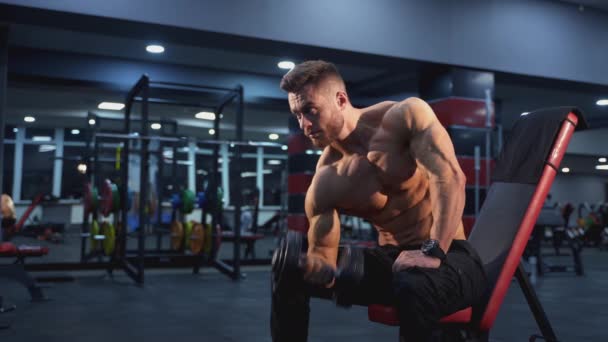 Γυμναστής Σηκώνει Μπράτσα Bodybuilder Εκπαίδευση Ένα Dumbbell Ένα Σύγχρονο Γυμναστήριο — Αρχείο Βίντεο