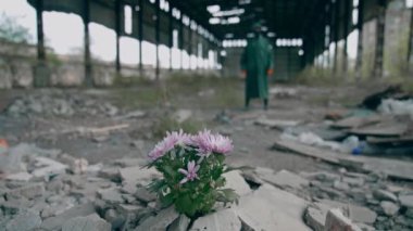 Terk edilmiş yerde güzel çiçekler yetişir. Koruyucu takım elbiseli bir adamın arka planında taşların içinde bir demet çiçek var. Çevre tehlikede..